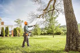 How Our Tree Care Process Works  in  Patrick Af, FL